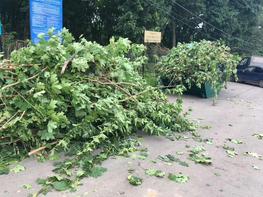 Спил деревьев в ростове. Опил деревьев. Опиливание деревьев на кладбище. Опил деревьев на машине.