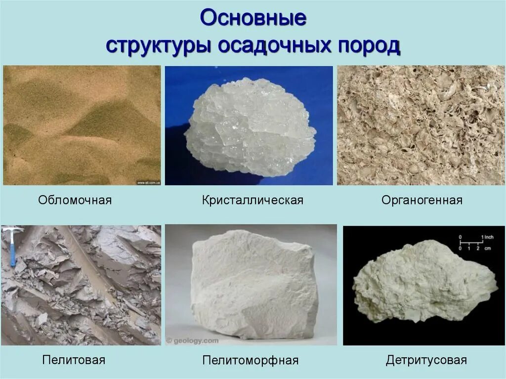 Привести примеры осадочных пород. Структура горных пород. Структуры пород в геологии. Структура осадочных горных пород. Структура и текстура горных пород.