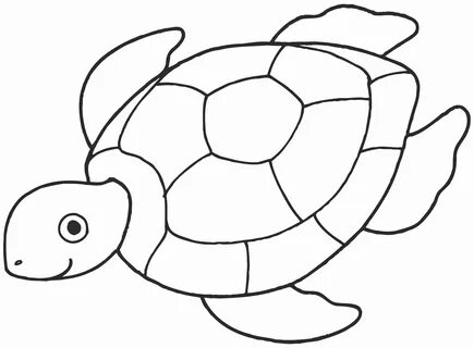15 Turtle coloring pages ideas turtle coloring pages, coloring pages, coloring p