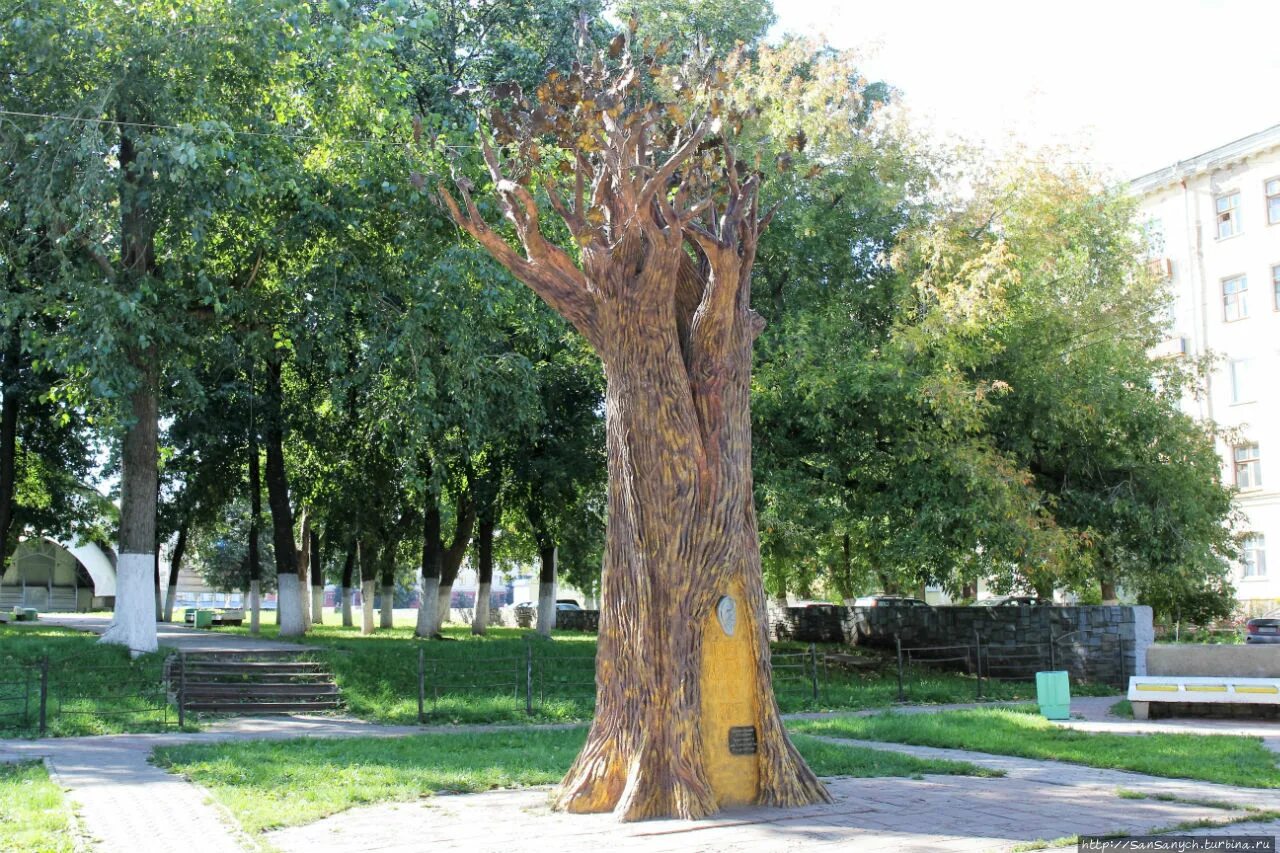 Площадь под деревьями