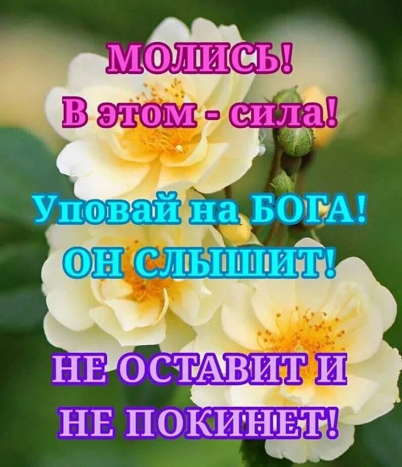 Божьего дня картинки. Доброе утро с Богом. Здоровья и Божьего благословения. Здоровья и Божьей помощи. Доброе утро с Богом благословений.