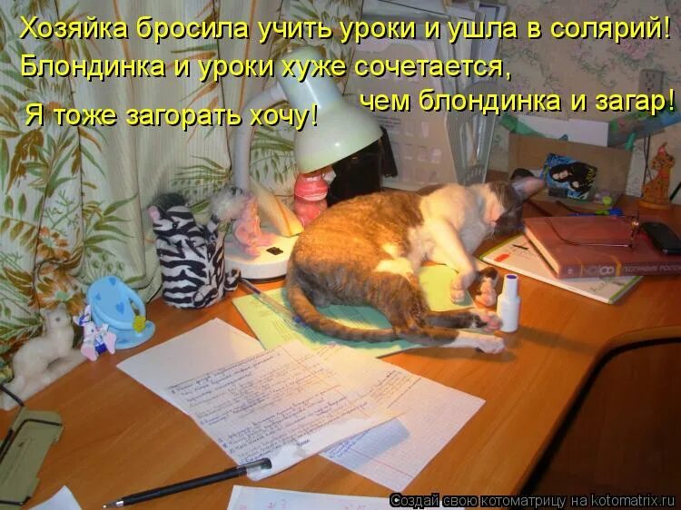 Про домашние уроки. Кот учит уроки. Коты учат уроки. Котик учит уроки. Кот ученый Котоматрица.