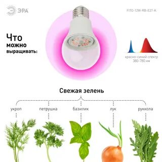 Чем отличается фитолампа от светодиодной лампы