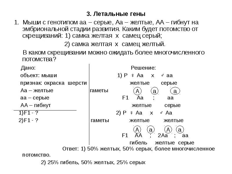 Примеры летальных генов. Наследование летальных генов. Задачи на летальный ген. Задачи на летальные гены. Селекционер скрестил самку чистой линии мыши черного