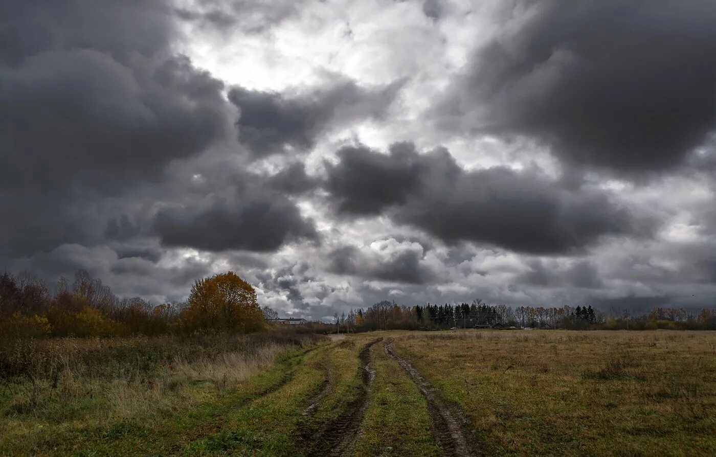 Пасмурно видишь. Пасмурная осень. Пасмурное небо. Хмурая осень. Осеннее небо.