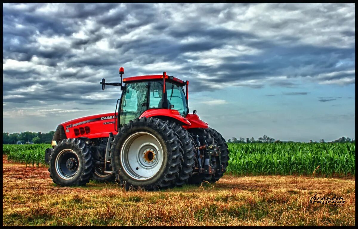 Полям красный трактор. YTO elg1754. Tractor YTO elg1754. Трактор сельскохозяйственный YTO elg1754. Трактор YTO В поле.