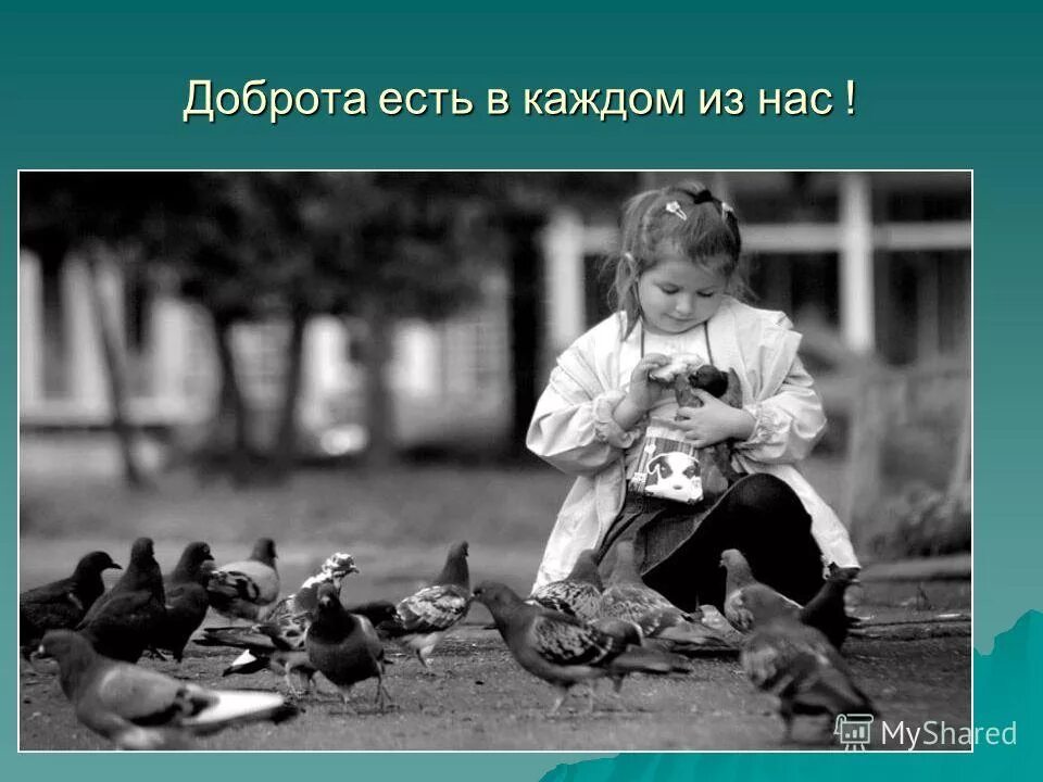 Добро картинки. Доброта картинки. Для детей. Доброта к людям. Птица любви.