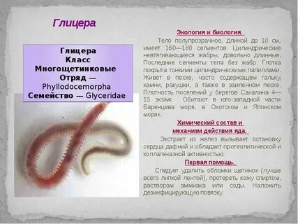 Глицерам