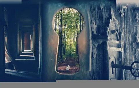 Doors universe