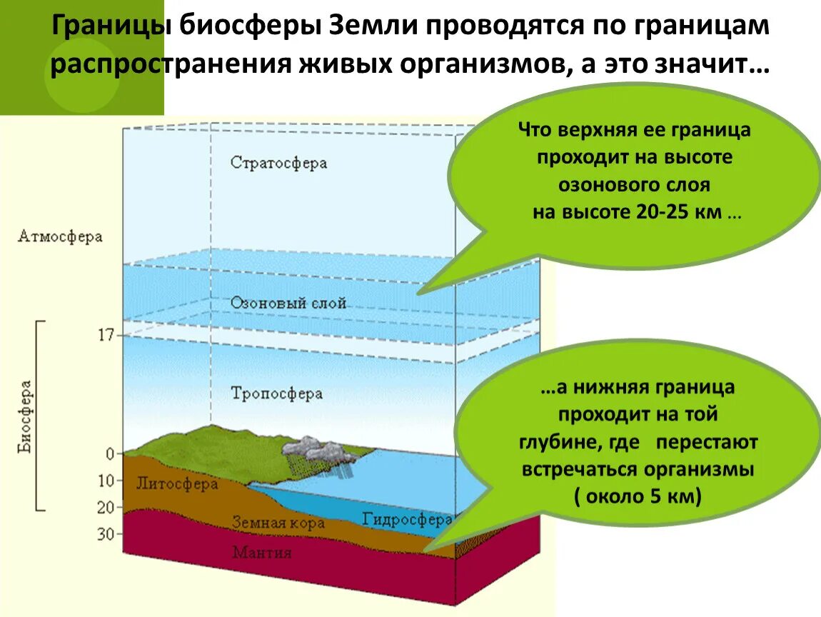 Верхняя и нижняя граница биосферы. 5. Биосфера. Структура и границы биосферы.. Границы распространения жизни в атмосфере. Граница биосферы нижняя граница.