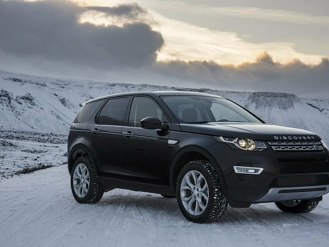 Discovery sport купить