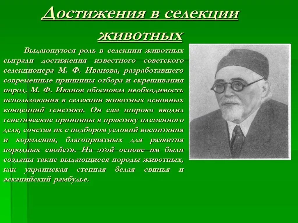 М Ф Иванов селекционер достижения. Достижения селекции животных. Достижения современной селекции животных. Селекция животных ученые. Основные достижения и современные