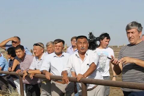 Калмыкия сельское