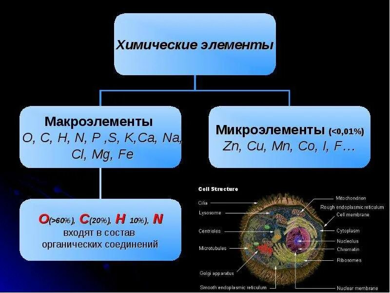 А также микро и. Химический состав клетки макроэлементы. Химический состав клетки схема химические элементы вещества. Химические элементы макроэлементов клетка. Макроэлементы 2) микроэлементы 3) ультрамикроэлементы.