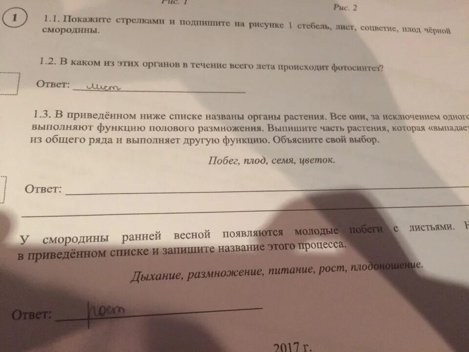 Дыхание, питание, рост, плодоношение.. ВПР биология 5 класс. ВПР биология грибы. Питание рост размножение движение запишите название этого процесса.