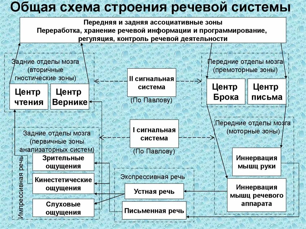 Общий голосовой. Речевая функциональная система схема. Общая схема строения речевой системы. Структура речевой деятельности схема. Строение речевой деятельности.