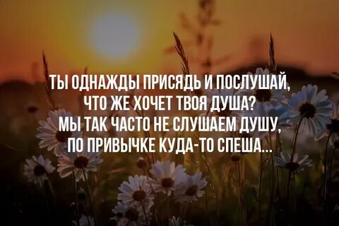 Все куда то спешить