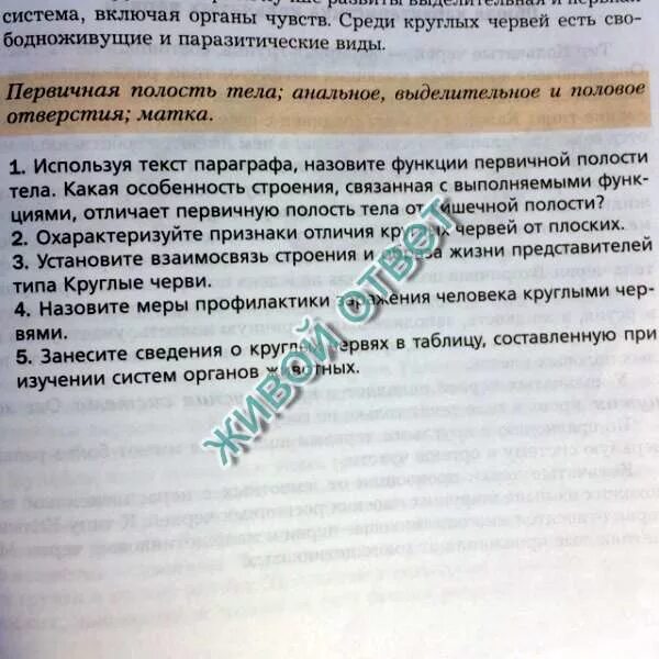 Круглые черви вставьте в текст. Используя текст параграфа подтвердите высказывание