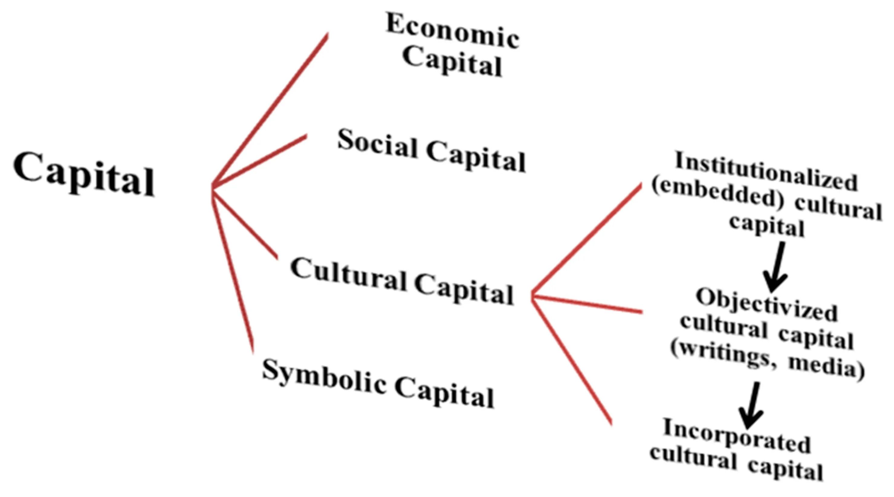 Отличия символического и социального капитала. Culture capital. Classic classical разница. Cultural capital is. Naturalness politics.