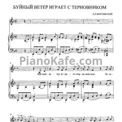 Смысл песни ах вы ветры ветры буйные