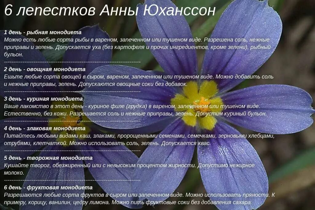 Полезен ли лепесток. Красный лепесток. Лепесток цветка. Полезен ли лепесток. Чай с лепестками роз.