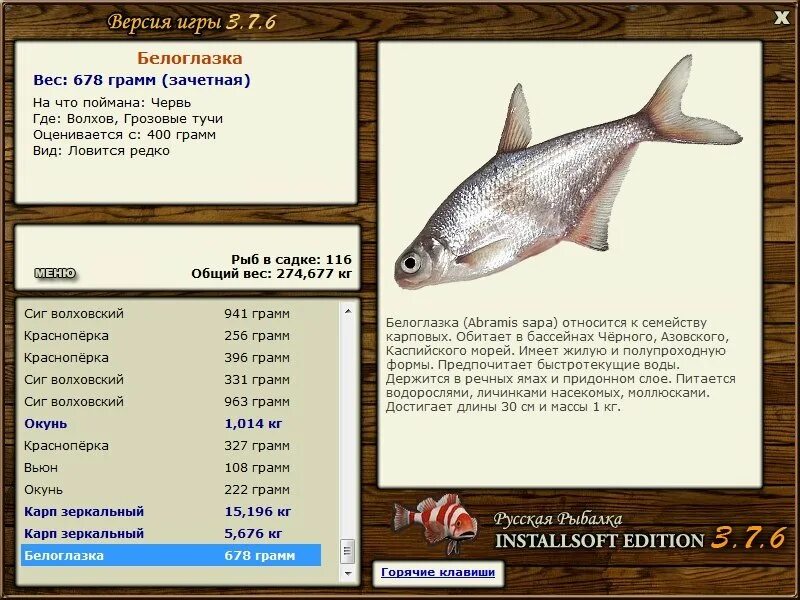 Снасти для рыбалки на реке дон. Что можно ловить. Русская рыбалка 3 омуль байкальский. Наживки для рыбалки летом. Поймал рыбу.