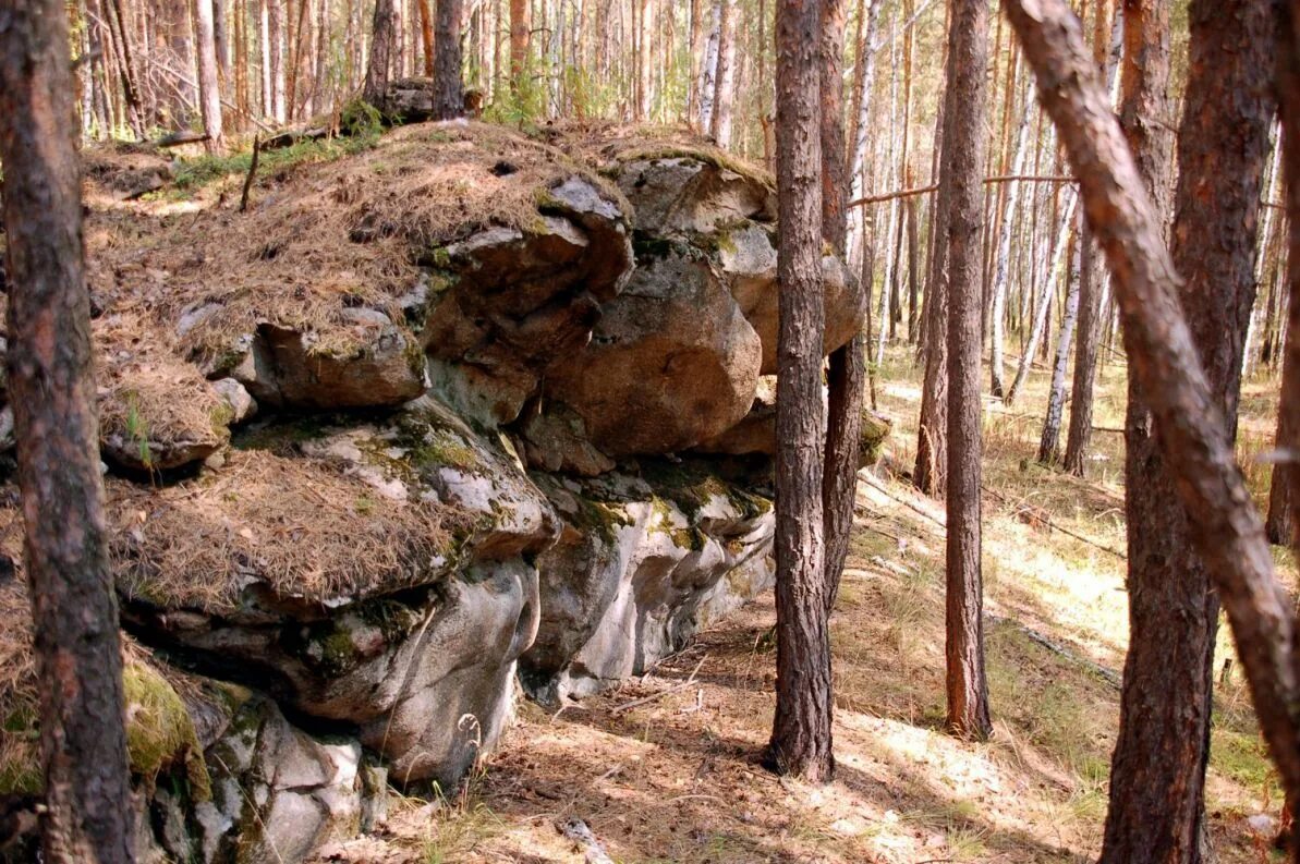Ильменский заповедник каменное городище. Каменное городище. Каменное городище живопись. Ильменский заповедник каменное городище. Каменное городище миасс.