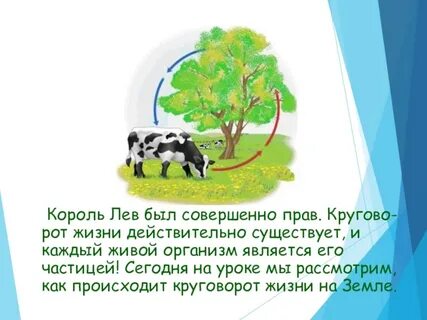 Великий круговорот жизни 3 класс