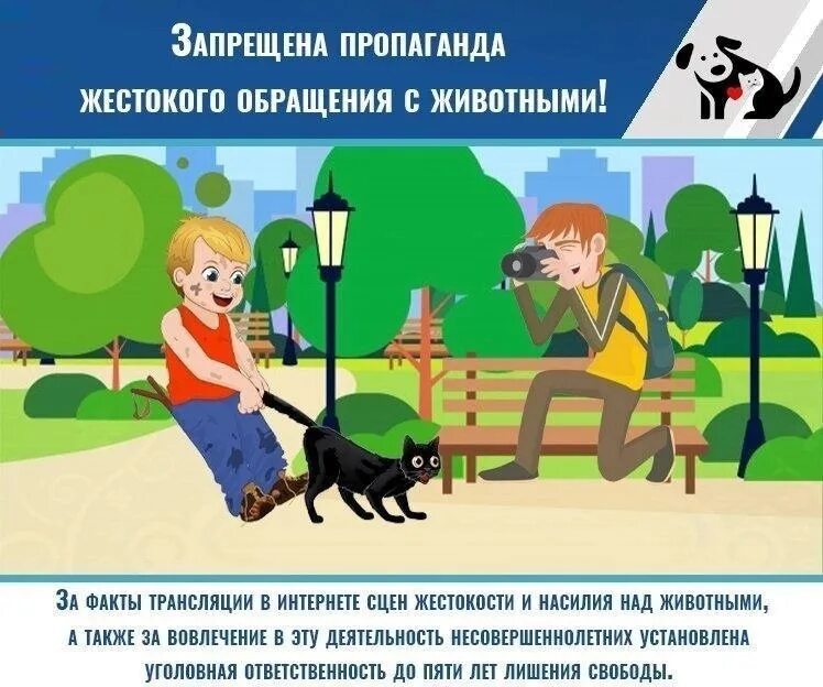 Ответственное содержание животного. Ответственное обращение с животными. федеральный закон об ответственном обращении с животными. памятка об ответственном обращении с животными. жестокое обращение с животными.