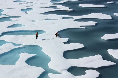 The sea ice