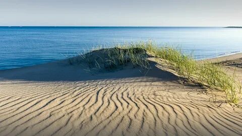 Вдоль берега морского