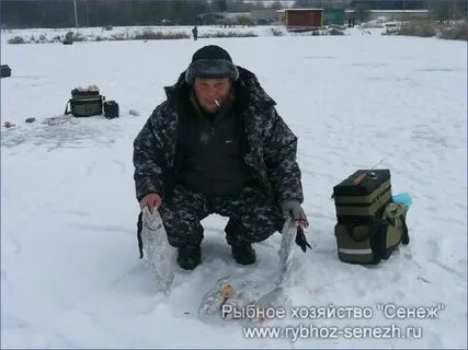 Рыбалка в семкино форум последняя