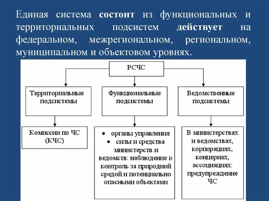 Региональный надзор в области защиты населения. Функциональная и территориальная подсистемы. Функциональный подсистемы и территориальные подсистемы. Подсистемы РСЧС. Функциональные и территориальные подсистемы РСЧС.