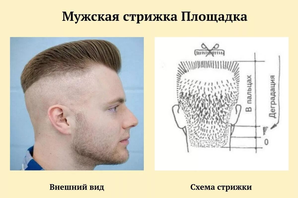 Схема подстричь. Стрижка Бобрик мужская схема выполнения. Технология мужской стрижки Бобрик схема. Стрижка площадка как стричь схема.