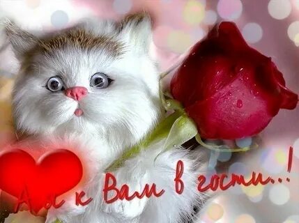 С ее к вам