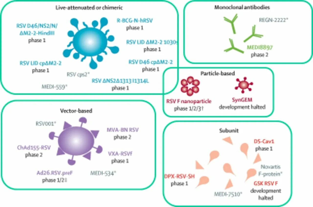 Virus js. РНК Respiratory syncytial virus. РС вирус. РСВ вирус. РС вирус клинические рекомендации.