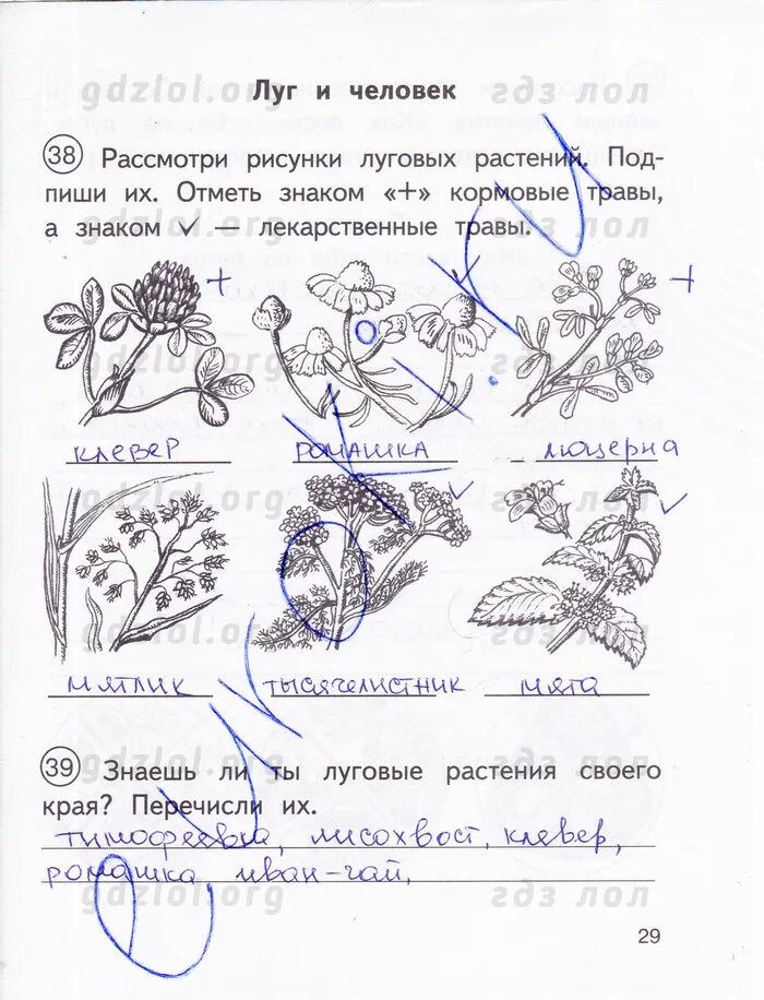 Окружающий мир 3 класс федотова ответы