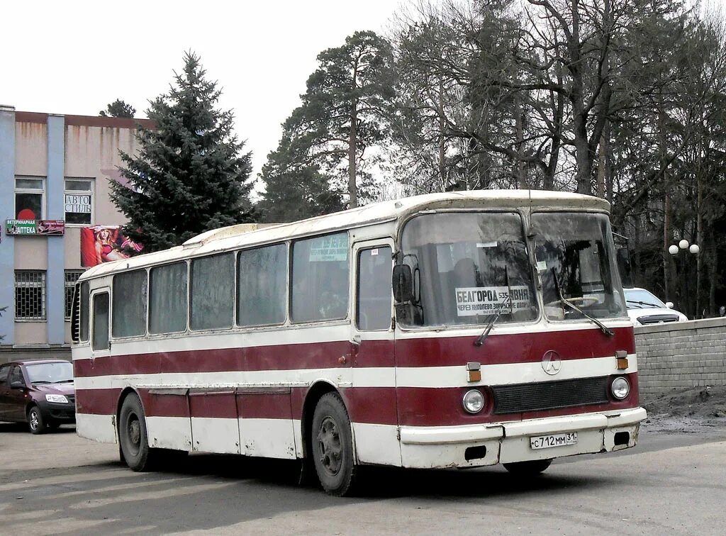 ЛАЗ 712. Автобус Ивня Белгород. Автовокзал Ивня. Автовокзал Ивня номер телефона Белгородская область. Белгородский автовокзал телефон