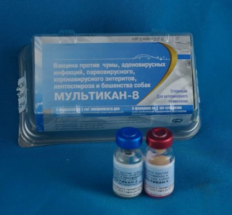 Мультикан 8 как колоть. Вакцина для собак мультикан. вакцина мультикан 4. мультикан-4 вакцина для собак. мультикан-6 вакцина для собак.