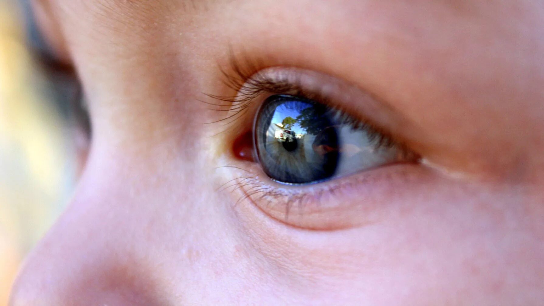 Детские глаза. Глаза младенца. Серо голубые глаза у ребенка. Глазки для детей. Включи глаза детей