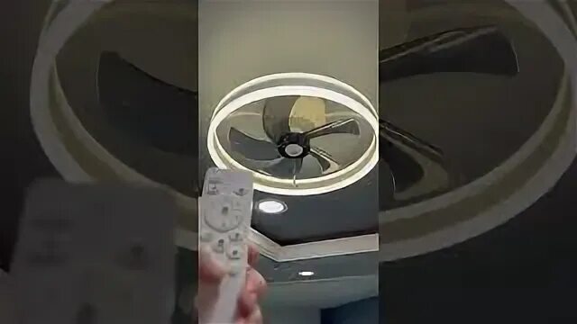 Perfect fan