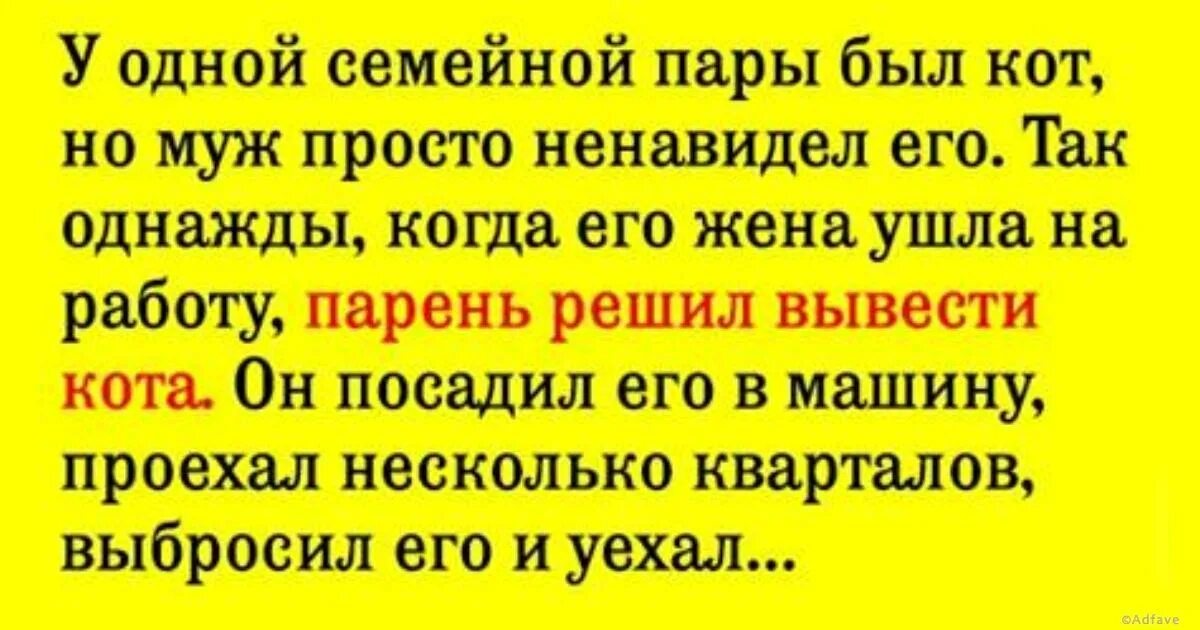 Муж ненавидит жену. Ненавижу мужа. Когда муж ненавидит жену. Муж меня ненавидит. Сын ненавидит мужа