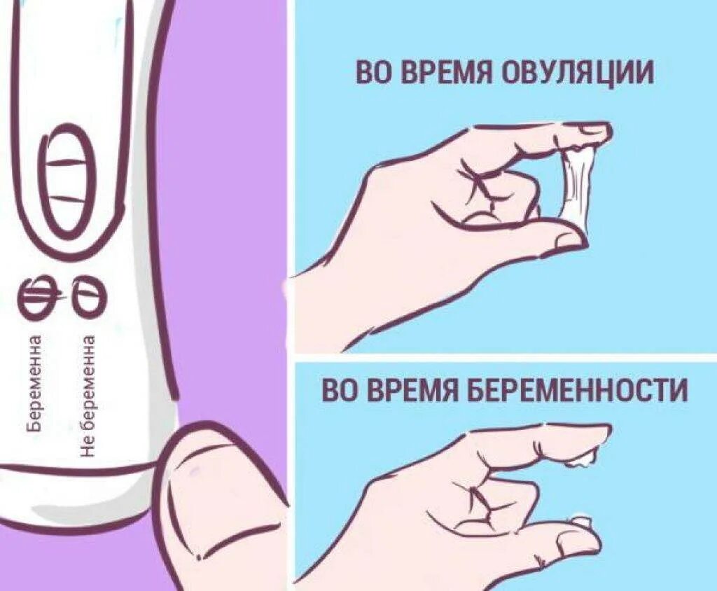 Как меняются выделения в цикле. Как меняются выделения в цикле
