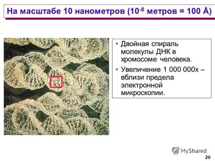 Природный масштаб