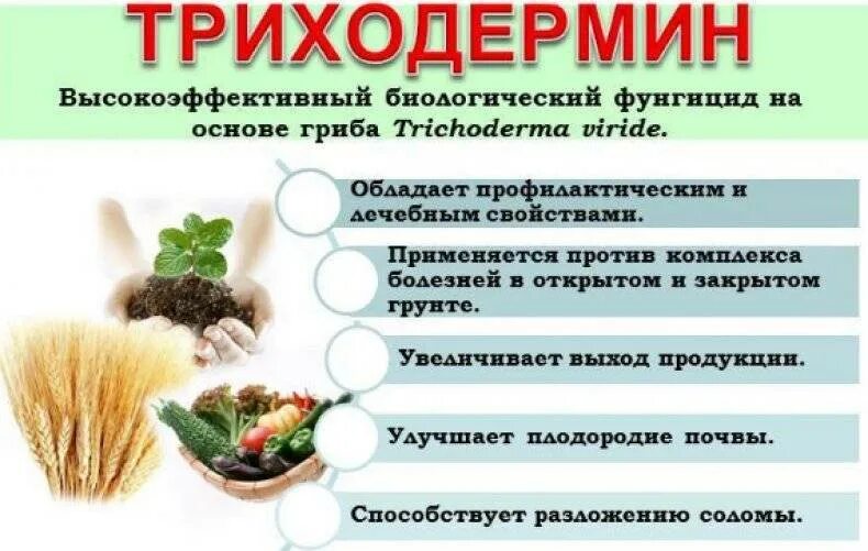 Триходерма как использовать. Препараты триходермы для растений. препарат триходермин. фунгицид триходермин. фунгицид триходерма.
