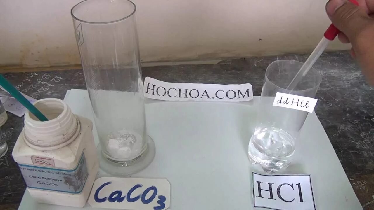 Карбонат кальция h2o. Caco3+HCL. Caco3+HCL реакция. Карбонат кальция + HCL. Caco3 HCL опыт.