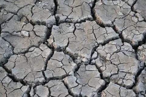 During the dry