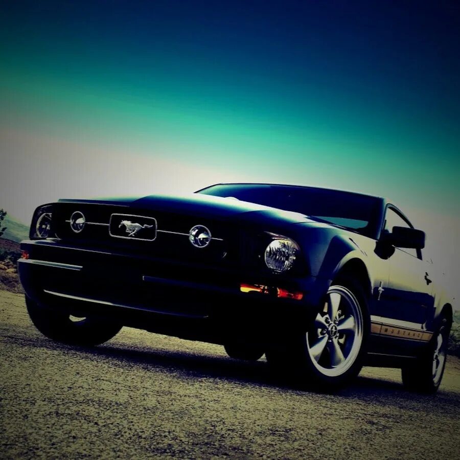 Boss302SandiaFoothills Ford mustang boss 302, Ford mustang, Mustang