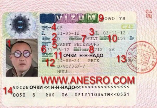 Получить визу в чехию 2025. Виза в чехию. национальная виза категории d. чешский шенген. национальная виза позднего переселенца.