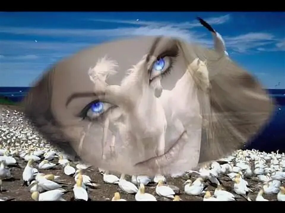 Дотронься до него. Дотронься до меня. дотронуться до тебя.